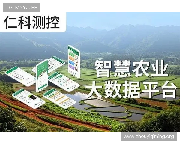 壹号平台官网登录入口功能介绍：帮助用户快速掌握登录入口的核心功能与安全保障