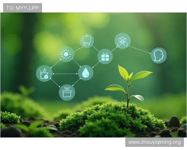 壹号集团：打造绿色可持续发展的商业模式，践行企业社会责任的典范